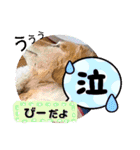 びーちゃん家族【13】（個別スタンプ：40）