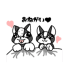 飼い犬ボッスン＆リリィ（個別スタンプ：6）