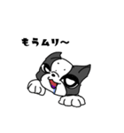 飼い犬ボッスン＆リリィ（個別スタンプ：16）