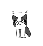 飼い犬ボッスン＆リリィ（個別スタンプ：17）