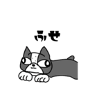 飼い犬ボッスン＆リリィ（個別スタンプ：28）