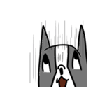 飼い犬ボッスン＆リリィ（個別スタンプ：31）