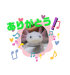 ウーパーもちこと一緒 3（個別スタンプ：1）