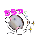 ウーパーもちこと一緒 3（個別スタンプ：7）