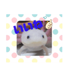 ウーパーもちこと一緒 3（個別スタンプ：10）