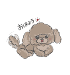 それいけアンディくん！（個別スタンプ：1）