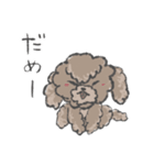 それいけアンディくん！（個別スタンプ：16）