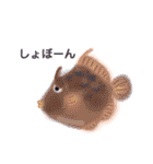 ゆるい生き物（海）ウミウシ.クリオネetc（個別スタンプ：11）