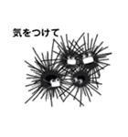 ゆるい生き物（海）ウミウシ.クリオネetc（個別スタンプ：16）