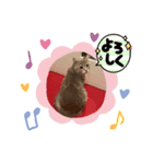 Kelly2（個別スタンプ：6）