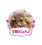 Kelly2（個別スタンプ：11）