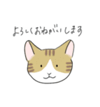 おしゃべりなどうぶつたち（個別スタンプ：5）