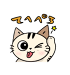 かわいいネコの日常スタンプ（個別スタンプ：5）