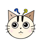 かわいいネコの日常スタンプ（個別スタンプ：11）