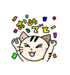 かわいいネコの日常スタンプ（個別スタンプ：15）