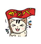 かわいいネコの日常スタンプ（個別スタンプ：17）