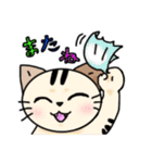 かわいいネコの日常スタンプ（個別スタンプ：19）