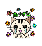 かわいいネコの日常スタンプ（個別スタンプ：20）