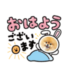 ポメラニアンぷーちゃんのスタンプ（個別スタンプ：2）