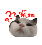らぶりぃこゆき（個別スタンプ：5）