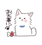 いつもいっしょ！スピッツ犬（個別スタンプ：16）