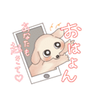 おはようPERIMO（個別スタンプ：22）