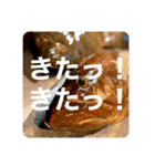 crazy bob1（個別スタンプ：1）