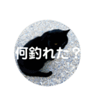 crazy bob1（個別スタンプ：13）
