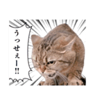 まいきゃっと甲府スタンプ 第5弾♪（個別スタンプ：7）