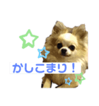 ロンすず（個別スタンプ：3）