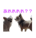 ロンすず（個別スタンプ：4）
