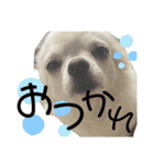 ロンすず（個別スタンプ：6）