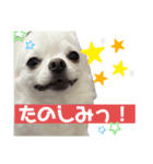 ロンすず（個別スタンプ：7）