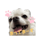 ロンすず（個別スタンプ：8）