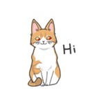 猫の狂詩曲-野良猫（個別スタンプ：1）