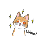 猫の狂詩曲-野良猫（個別スタンプ：2）