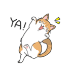 猫の狂詩曲-野良猫（個別スタンプ：5）