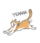 猫の狂詩曲-野良猫（個別スタンプ：6）
