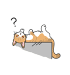 猫の狂詩曲-野良猫（個別スタンプ：10）