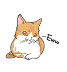 猫の狂詩曲-野良猫（個別スタンプ：13）