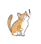 猫の狂詩曲-野良猫（個別スタンプ：14）