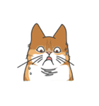 猫の狂詩曲-野良猫（個別スタンプ：15）