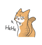 猫の狂詩曲-野良猫（個別スタンプ：17）