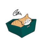 猫の狂詩曲-野良猫（個別スタンプ：19）