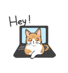 猫の狂詩曲-野良猫（個別スタンプ：20）