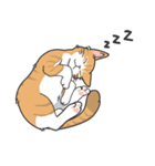 猫の狂詩曲-野良猫（個別スタンプ：29）