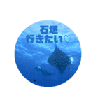 まーくんのスタンプ②（個別スタンプ：14）