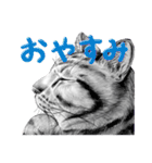 チャチャとゆかいな仲間たち 3（個別スタンプ：6）