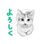 チャチャとゆかいな仲間たち 3（個別スタンプ：7）