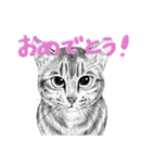 チャチャとゆかいな仲間たち 3（個別スタンプ：22）